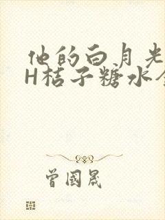 他的白月光HVH桔子糖水全文