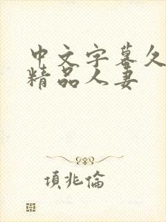 中文字幕久久久精品人妻封面