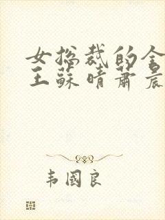 女总裁的全能兵王苏晴萧晨