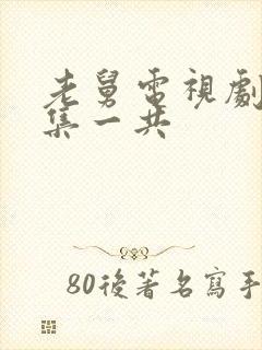 老舅电视剧多少集一共