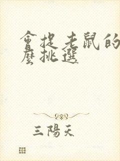 会捉老鼠的猫怎么挑选封面