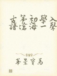 古筝初学入门简谱沧海一声笑