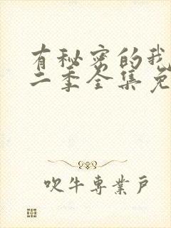 有秘密的我们第二季全集免费观看