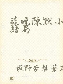 苏晚陈默小说大结局