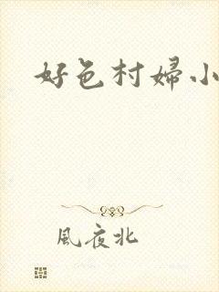 好色村妇小银贼