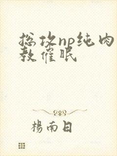 总攻np纯肉调教催眠