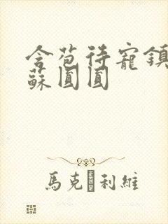 含苞待宠镇国公苏圆圆