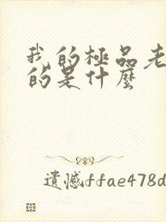 我的极品老婆讲的是什么封面