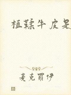 植鞣牛皮是什么