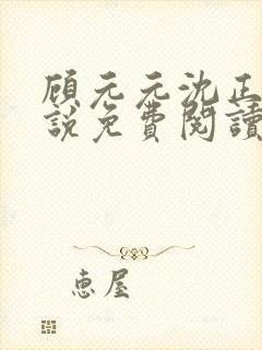 顾元元沈正凌小说免费阅读