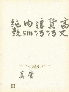 纯肉浪货高h调教sm污污文