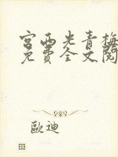 宫西光青梅竹马免费全文阅读笔趣阁