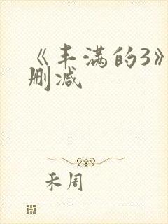 《丰满的3》无删减封面