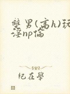 双男(高h)玩淫np伦