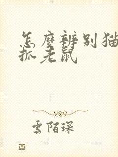 怎么辨别猫抓不抓老鼠