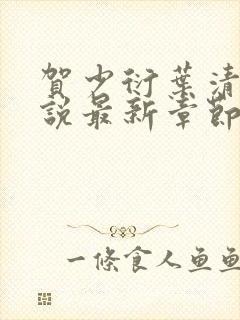 贺少衍叶清栀小说最新章节免费阅读封面