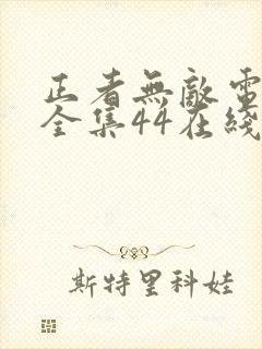 正者无敌电视剧全集44在线观看