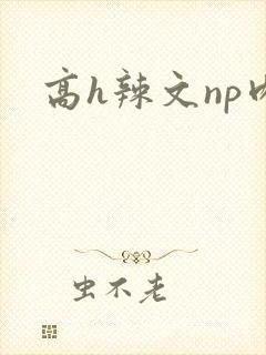 高h辣文np肉