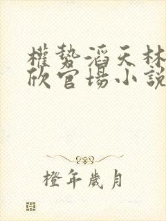 权势滔天林峰宁欣官场小说免费阅读