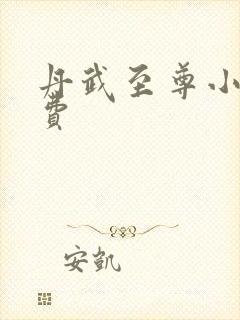 丹武至尊小说免费