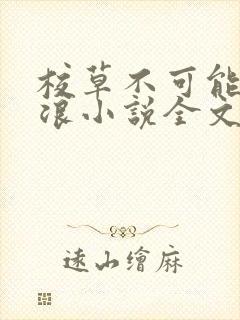 校草不可能这么浪小说全文免费阅读