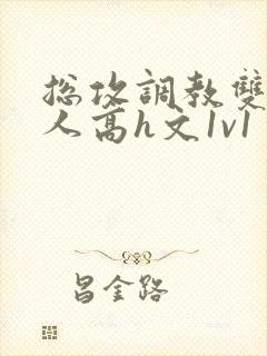 总攻调教双性美人高h文1v1封面