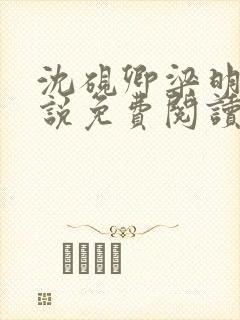 沈砚卿梁明昭小说免费阅读最新章节