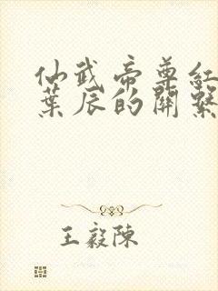 仙武帝尊红尘与叶辰的关系