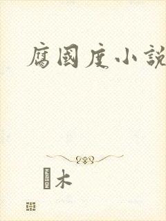 腐国度小说