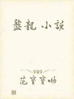 盘龙 小说