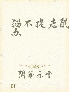 猫不捉老鼠怎么办