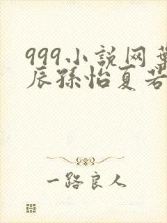 999小说网叶辰孙怡夏若雪