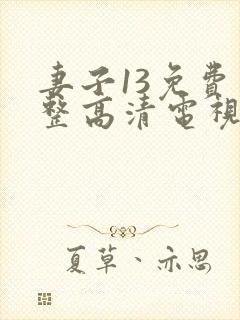 妻子13免费完整高清电视剧在线看