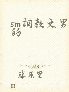 sm调教文男男的