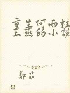 重生何雨柱娶了王燕的小说