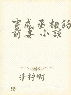 穿成丞相的炮灰前妻 小说