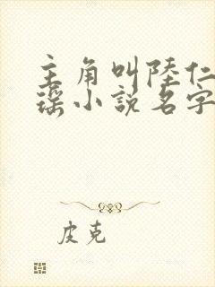 主角叫陆仁云青瑶小说名字