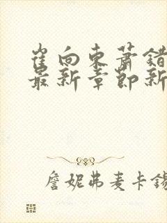 崔向东萧错小说最新章节新笔趣阁