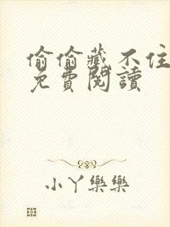 偷偷藏不住小说免费阅读