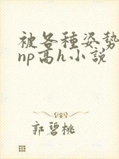 被各种姿势玩弄np高h小说