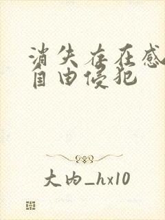 消失存在感消失自由侵犯