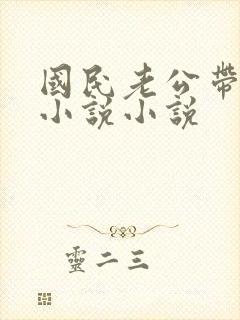 国民老公带回家小说小说