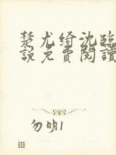 楚尤绮沈临砚小说免费阅读最新章节封面