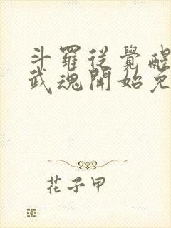 斗罗从觉醒朱雀武魂开始免费阅读