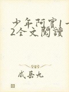 少年阿宾1一72全文阅读