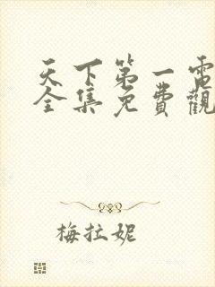 天下第一电视剧全集免费观看高清