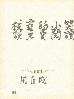 校霸的小哭包小说免费阅读在线