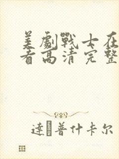 美剧战士在线观看高清完整版免费封面