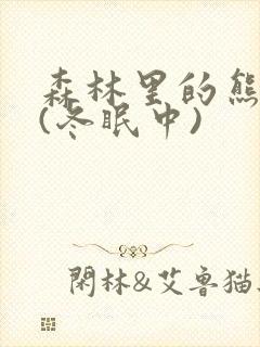 森林里的熊先生(冬眠中)