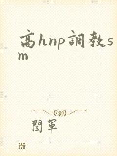 高hnp调教sm封面